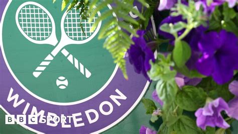 wimbledon 2022 bingo|Wimbledon 2022: BBC TV, radio and online coverage times and .